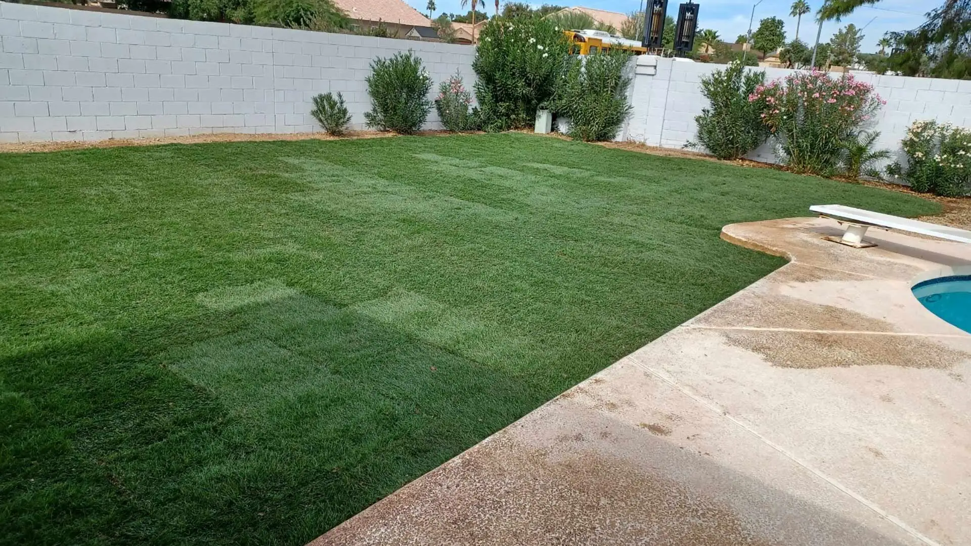 Sod installed for a backyard in Phoenix, AZ.